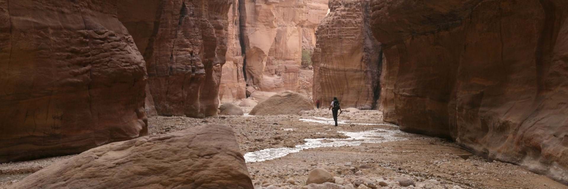 Insights into Trek the Jordan Desert